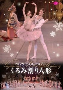 鑑賞用DVD