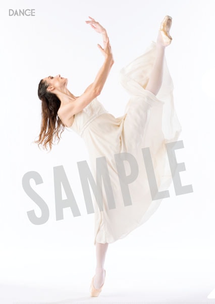 �Х쥨���󥵡����ꥢ�ե����롡�ɥ��ơ�����١���֥��ߥ��ȥ���ꥨ�åȡ�