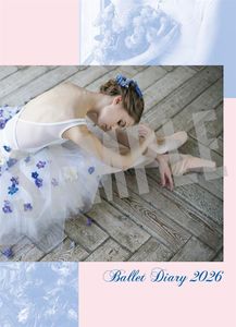 特別価格40％OFF!】repettoレペット・トウシューズ カルロッタ