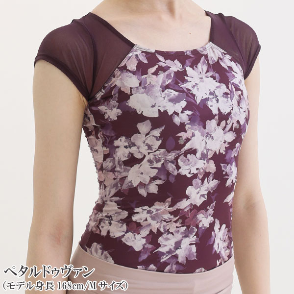 饫ץȡͥåȾµ쥪ȥåס[2]߿/򤷤äꥫС