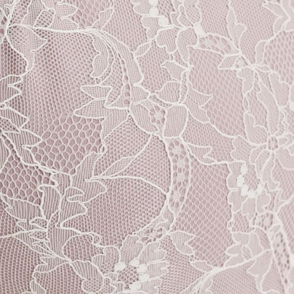 إ饶ɥ졼ե꡼֥쥪ȥåסڥե꡼֤ǴŤ⤢륤᡼ˡ