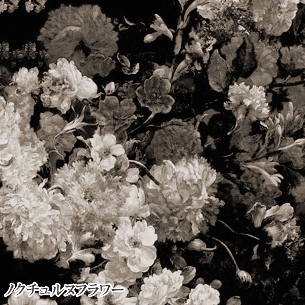 饫ץȥ֥ꥢȥѡ롦ѥåդȡڽ߿/ʬϥ饫Ǻ