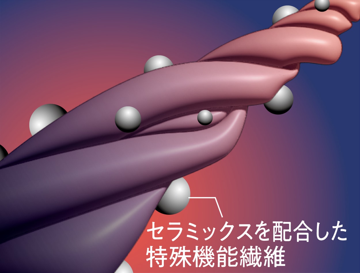 ͽ11ܰʹȯͽ2å ꥫХ꡼Ĺµ+󥺥󥰥ѥ(ݥ졼)ϫ