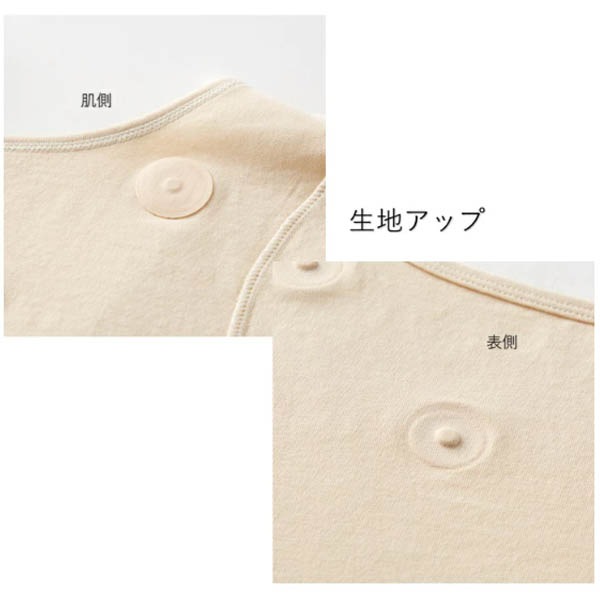 �ޥ��ͥ��å�����Բ�������ʡ�(��ǥ�����) ���� Ⱦµ����ʡ�T����ĥ����ס�ͽ������2��ܰʹ�ȯ��ͽ��ۡڼ������Ϥǥ���δ��¤ȷ�Ԥ������