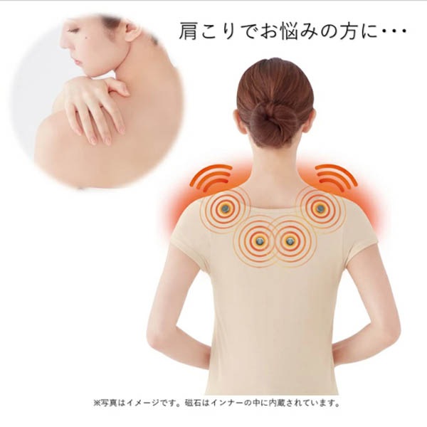 �ޥ��ͥ��å�����Բ�������ʡ�(��ǥ�����) ���� Ⱦµ����ʡ�T����ĥ����ס�ͽ������2��ܰʹ�ȯ��ͽ��ۡڼ������Ϥǥ���δ��¤ȷ�Ԥ������