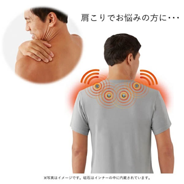 �ޥ��ͥ��å�����Բ�������ʡ�(���) ���� Ⱦµ����ʡ�T����ĥ����ס�ͽ������2��ܰʹ�ȯ��ͽ��ۡڼ������Ϥǥ���δ��¤ȷ�Ԥ������