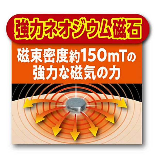 �ޥ��ͥ��å�����Բ�������ʡ�(���) ���� Ⱦµ����ʡ�T����ĥ����ס�ͽ������2��ܰʹ�ȯ��ͽ��ۡڼ������Ϥǥ���δ��¤ȷ�Ԥ������