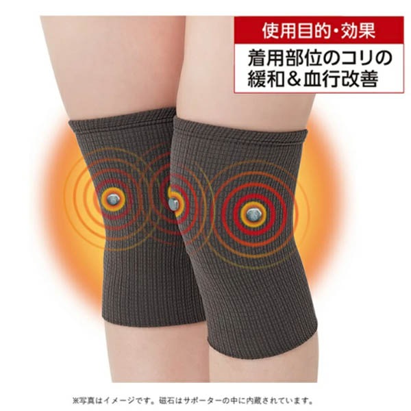 �ޥ��ͥ��å�����Բ������ݡ����� �Ҥ���2��(���㥳���륰�졼)��ͽ������2��ܰʹ�ȯ��ͽ��ۡ��ɤ����ӤƤҤ�����ͥ�������ݡ��ȡ�