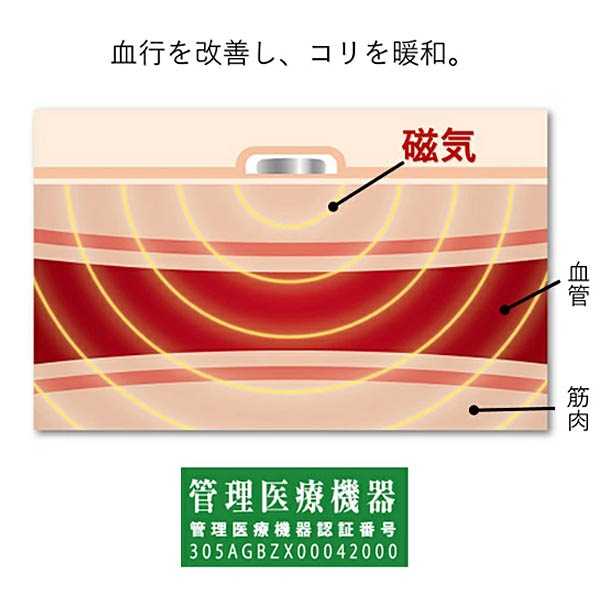 �ޥ��ͥ��å�����Բ������ݡ����� �Ҥ���2��(���㥳���륰�졼)��ͽ������2��ܰʹ�ȯ��ͽ��ۡ��ɤ����ӤƤҤ�����ͥ�������ݡ��ȡ�