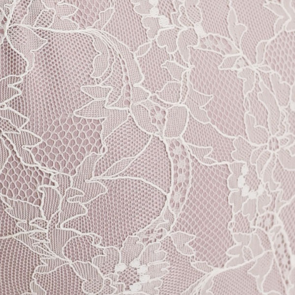 إ饶ɥ졼ե꡼֥쥪ȥåסڥե꡼֤ǴŤ⤢륤᡼ˡ