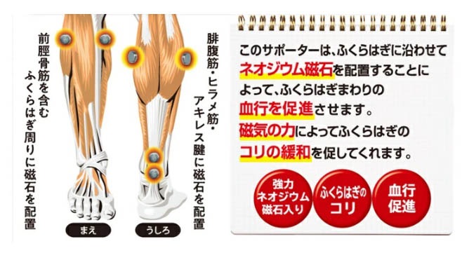 �������ݡ������դ���Ϥ���2��(�١�����)��ͽ������2��ܰʹ�ȯ��ͽ��ۡڶ����˱�ä��ơ��ԥ��Ԥߤ���Ŭ�˥��ݡ��ȡ�