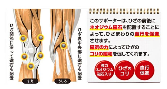 �������ݡ������Ҥ��ѣ���(�١�����)��ͽ������2��ܰʹ�ȯ��ͽ��ۡڶ����˱�ä��ơ��ԥ��Ԥߤ���Ŭ�˥��ݡ��ȡ�