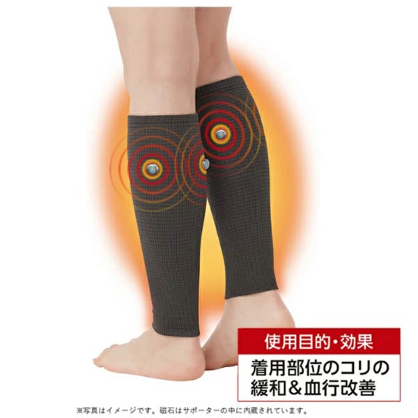 �ޥ��ͥ��å�����Բ������ݡ��������դ���Ϥ��ѣ���(���㥳���륰�졼)��ͽ������2��ܰʹ�ȯ��ͽ��ۡڤդ���Ϥ����䤨�к��ˡ�