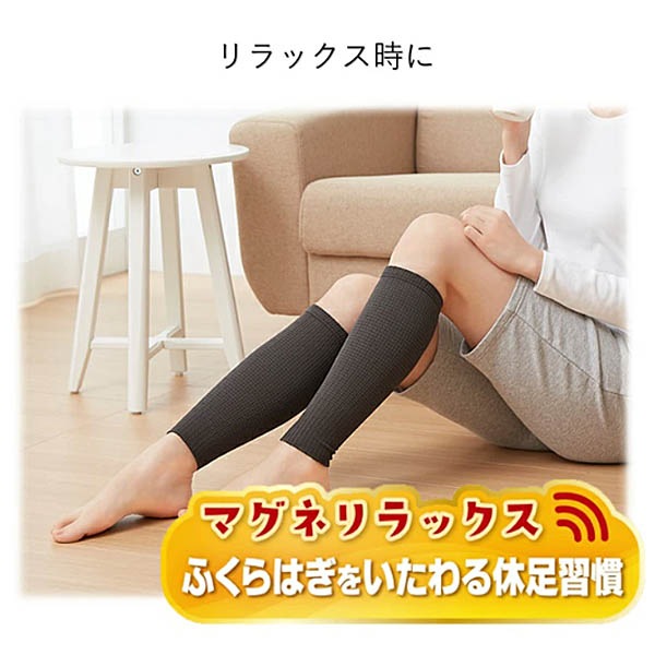 �ޥ��ͥ��å�����Բ������ݡ��������դ���Ϥ��ѣ���(���㥳���륰�졼)��ͽ������2��ܰʹ�ȯ��ͽ��ۡڤդ���Ϥ����䤨�к��ˡ�