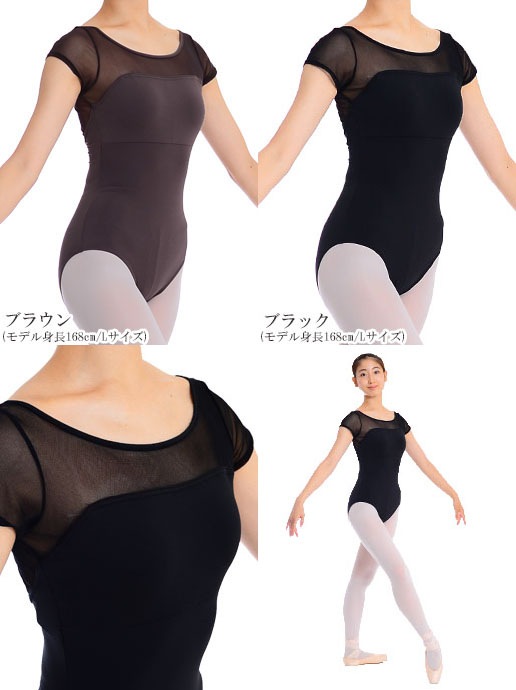 2åȡ̾14,560ߤΤȤ̲9,900ߡڥ꡼ۥ쥪+硼ȥѥ