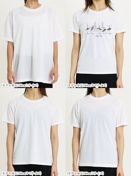 Х쥨饹ȥץT(33.Ļ)