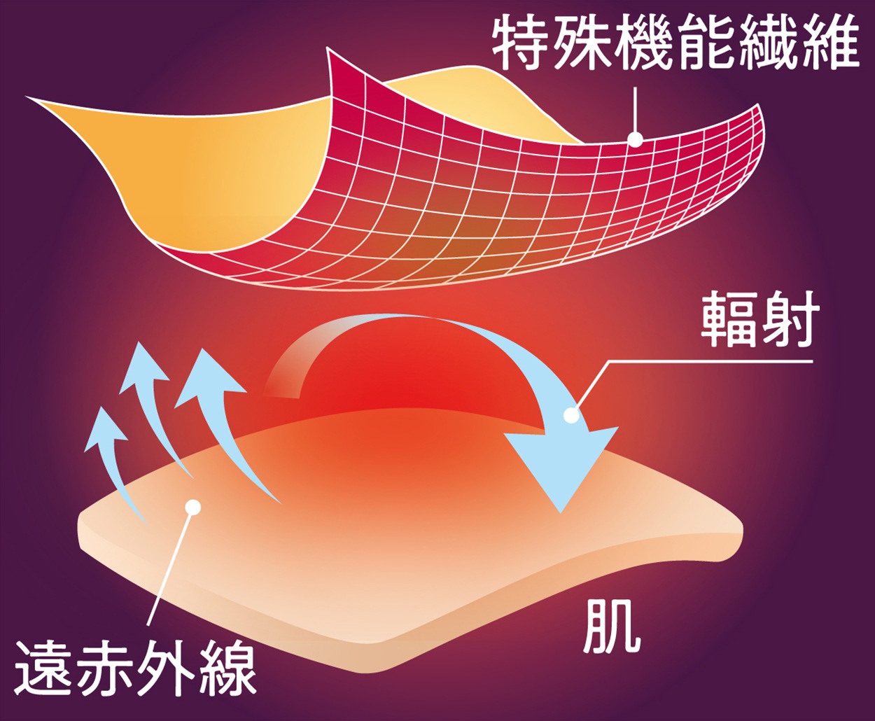 ��ͽ������2��ܰʹ�ȯ��ͽ��ۥꥫ�Х꡼������ǥ�����Ĺµ����ġ��������ϫ������