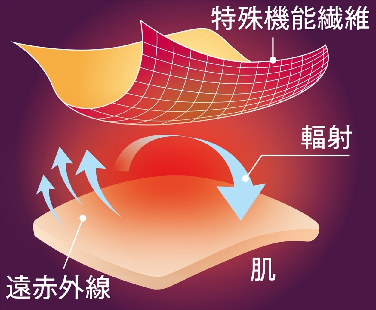 ��ͽ������2��ܹ�ȯ��ͽ��ۥꥫ�Х꡼������󥺥��󥰥ѥ�ġڶ˾�ε��ܤ��Ϥ�����