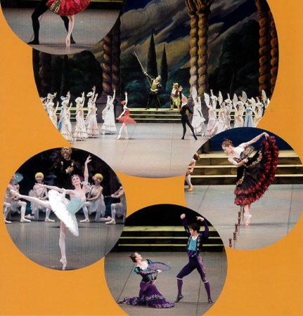 ��DVD+BOOK�� ����Ω���Х쥨�ĥ��ե������DVDBOOKS �ɥ󡦥��ۡ��ơ�(�Х쥨̾��ʪ�� Vol. 3)