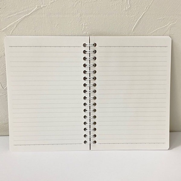 ʥХåˤʥHaru֥Х쥨ǥA6󥰥Ρȡ