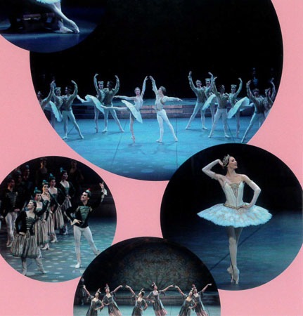 DVD+BOOK ΩХ쥨ĥեDVDBOOKS 饤(Х쥨̾ʪ Vol. 2)