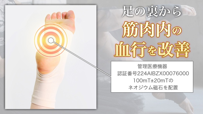 Ф侩ܻؤơǥ˥󥰼ݡ