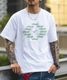 【 DEVICE select 】 SLEEP グラフィック プリント Tシャツ 半袖 オーバーサイズ ビッグシルエット 韓国 ストリート メンズ レディース ユニセックス TA1722T