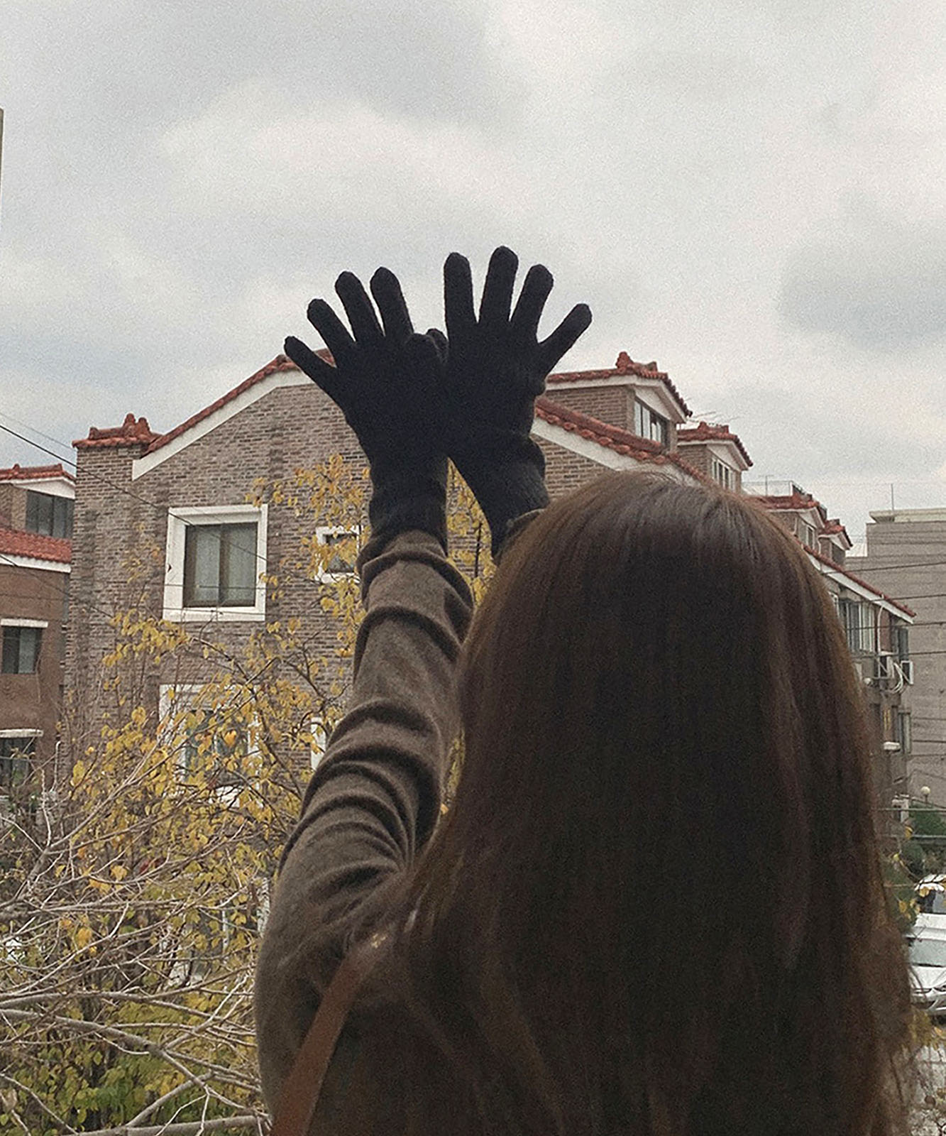 DEVICE select 【スマホ対応】 リブ ニット ホールタッチ シンプル 無地 手袋 メンズ レディース 秋服 冬服