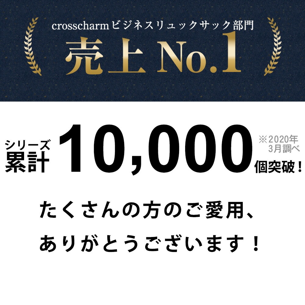 TransitGate G4 ナイロンビジネスバックパック (USBポート装備)