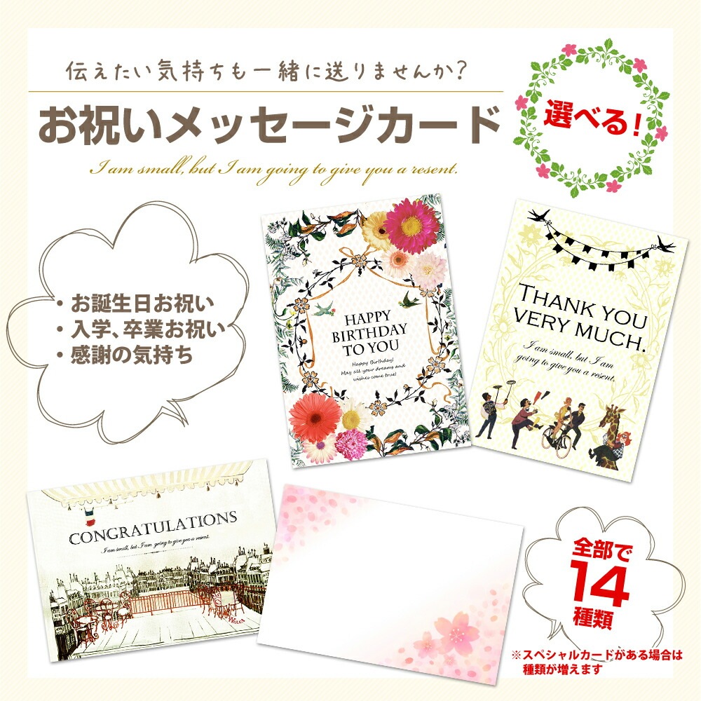 ☆専用出品☆お誕生日カード 1_000000000087.jpg?1678209904
