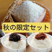 HP۰Υҥ꿷ƤѼѣ糧å