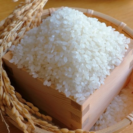 HP۰Υҥ꿷ƤѼѣ糧å