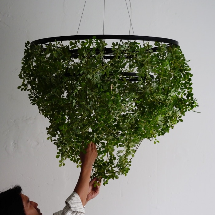 Foresti grande フォレスティ グランデ ペンダントランプ