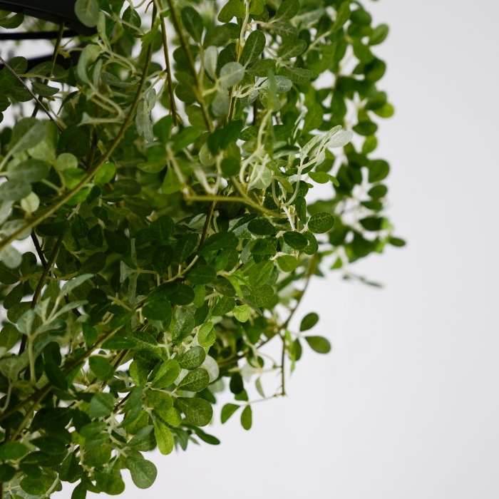 Foresti grande フォレスティ グランデ ペンダントランプ