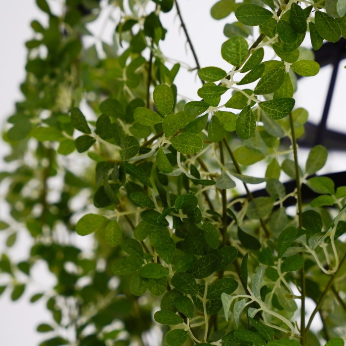 Foresti grande フォレスティ グランデ ペンダントランプ