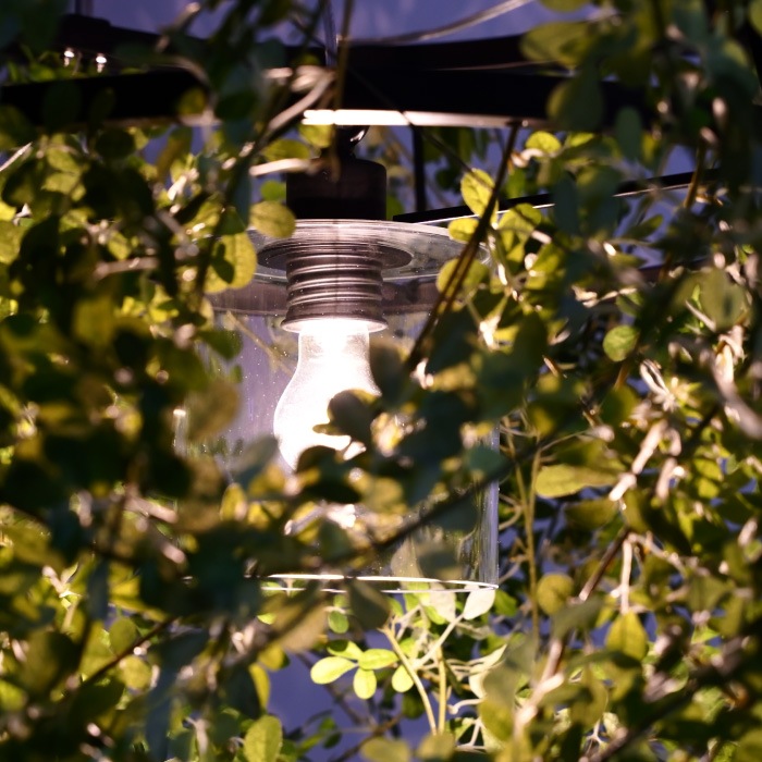 Foresti grande フォレスティ グランデ ペンダントランプ