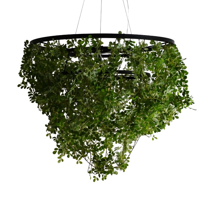 Foresti grande フォレスティ グランデ ペンダントランプ