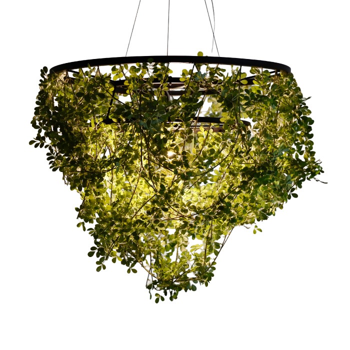 Foresti grande フォレスティ グランデ ペンダントランプ