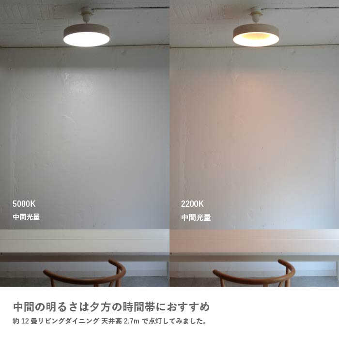 Tico ティコ シーリングランプ