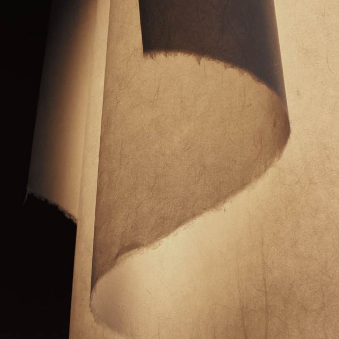 Auro washi アウロ ペンダントランプ washi