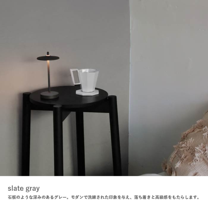 Pala パーラ ポータブルランプ