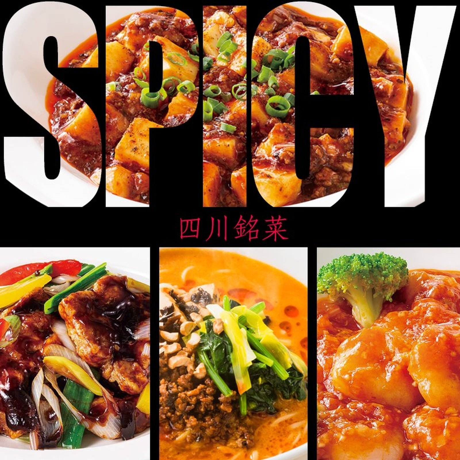 おうちで謝朋殿「四川香辣4種セット」