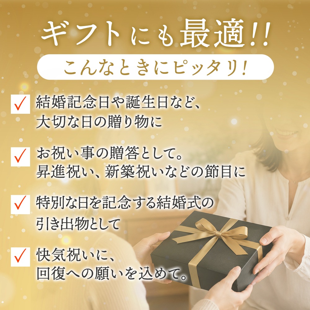 フカヒレあんかけ炒飯セット
