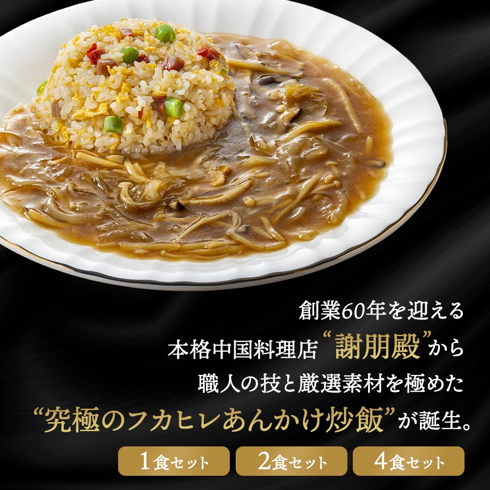 フカヒレあんかけ炒飯セット