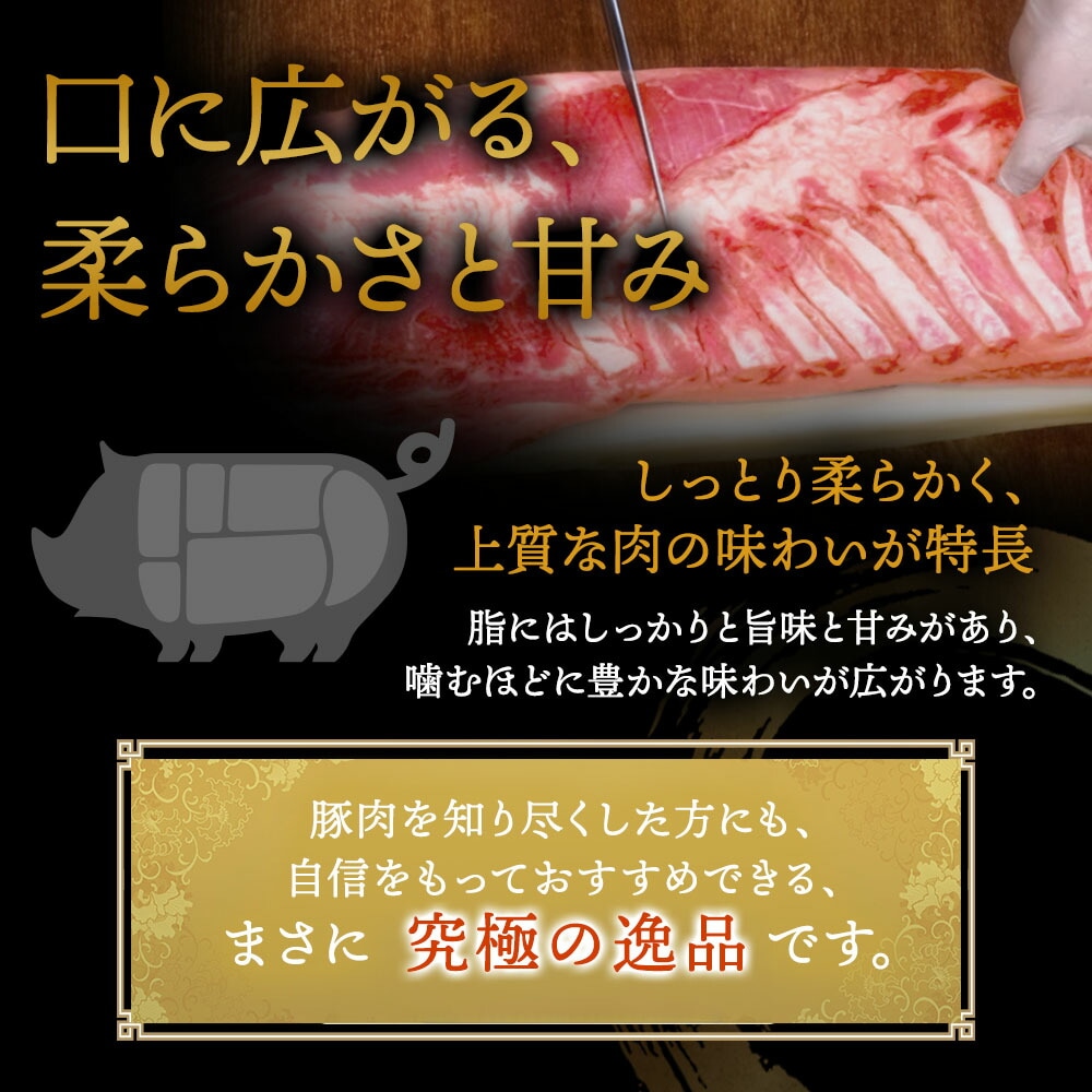 おうちで謝朋殿「米澤豚の黒酢酢豚」【小】