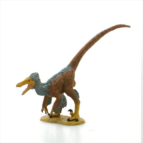 ���եȥ�ǥ롡����������ץȥ�