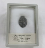 ���С����������饷����001