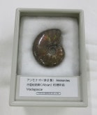 ���С���åɥ����ʥ��ȡ�001