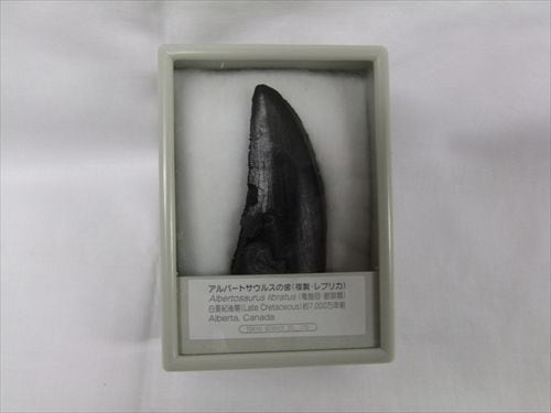 ��ץꥫ������С��ȥ����륹�λ�