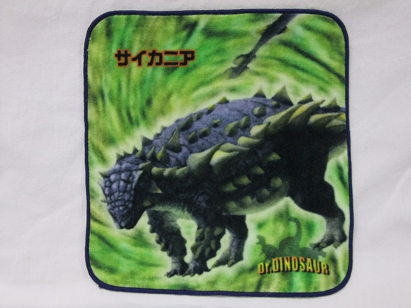 ��ε������ϥ󥫥����������˥�